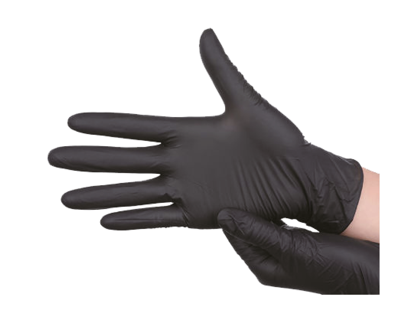 Se Sorte Nitrilhandskar Large (100 st.) ✔ Stort utbud av SousVide.dk ✔ Snabb leverans: 1 - 2 vardagar och billig frakt - Artikelnummer: SVS-1266 och streckkod / Ean: i lager - Rea på KÖKSTILLBEHÖR Spara upp till 51% - Över 785 välkända varumärken på rea