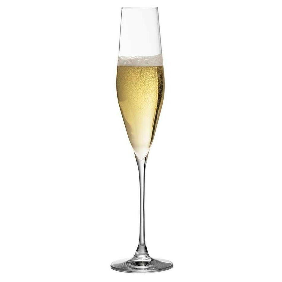 Se Champagne Flute - Bacci - Krystalglas - Urban Bar ✔ Stort utbud av Urban Bar ✔ Snabb leverans: 1 - 2 vardagar och billig frakt - Artikelnummer: BLS-12013 och streckkod / Ean: 8581782091629 i lager - Rea på alla produkter Spara upp till 51% - Över 785 välkända varumärken på rea