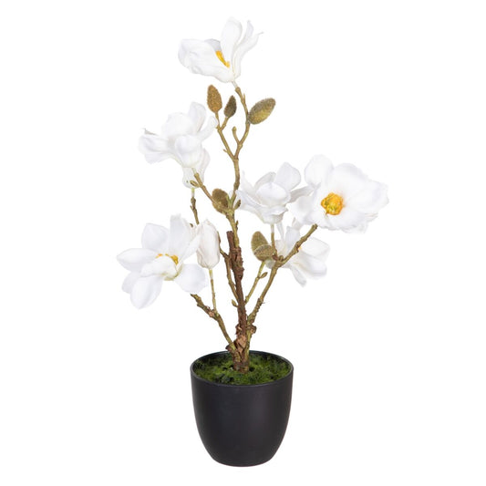 Dekorativ växt Polyester Polyetylen Järn 25 x 25 x 49 cm Magnolia