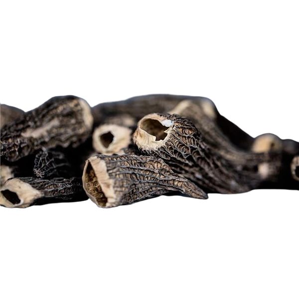 Se Svampar Kantareller Utan Stjälk Torkade Ps 200 G ✔ Stort utbud av GOURMETE ✔ Snabb leverans: 1 - 2 vardagar och billig frakt - Artikelnummer: BLS-675972 och streckkod / Ean: 5711779960376 i lager - Rea på Delikatesser > Tapas > Torkade grönsaker Spara upp till 51% - Över 785 välkända varumärken på rea