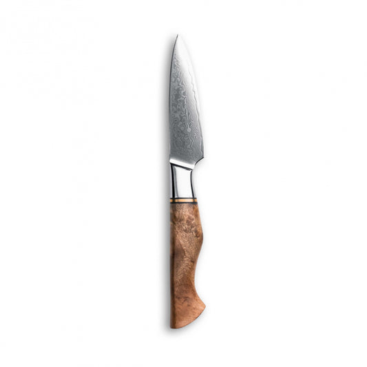 Se Skalkniv - Bright Series ✔ Stort utbud av Qknives ✔ Snabb leverans: 1 - 2 vardagar och billig frakt - Artikelnummer: QK-2215562 och streckkod / Ean: i lager - Rea på Köksknivar Bright Series Spara upp till 51% - Över 785 välkända varumärken på rea