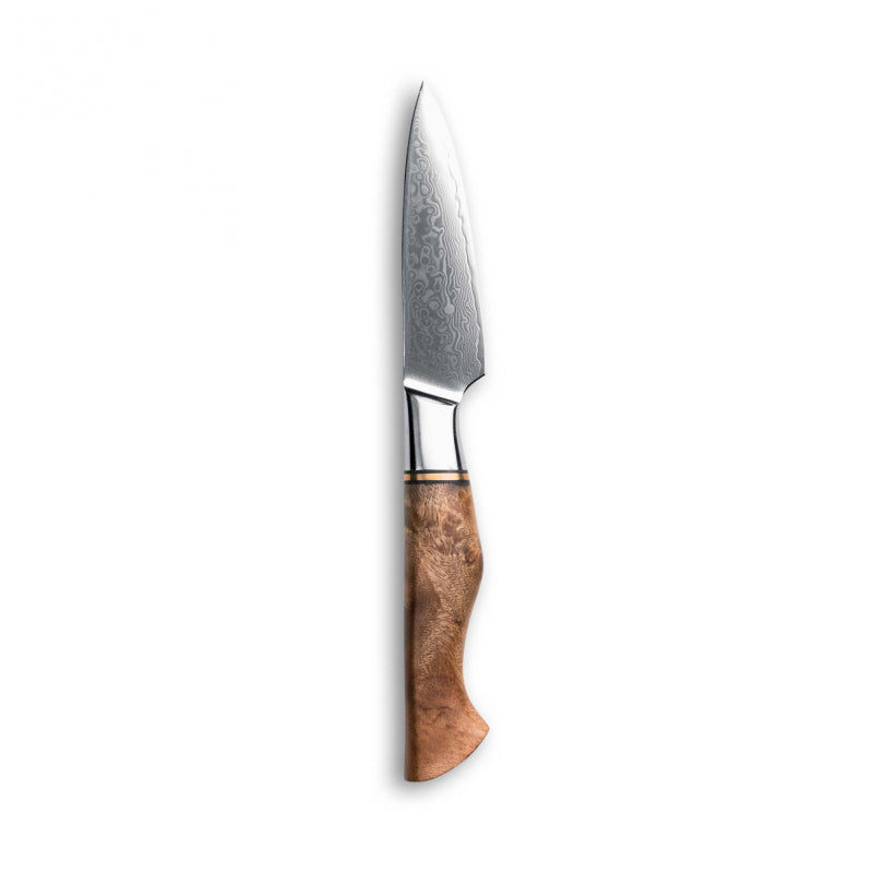 Se Skalkniv - Bright Series ✔ Stort utbud av Qknives ✔ Snabb leverans: 1 - 2 vardagar och billig frakt - Artikelnummer: QK-2215562 och streckkod / Ean: i lager - Rea på Köksknivar Bright Series Spara upp till 51% - Över 785 välkända varumärken på rea